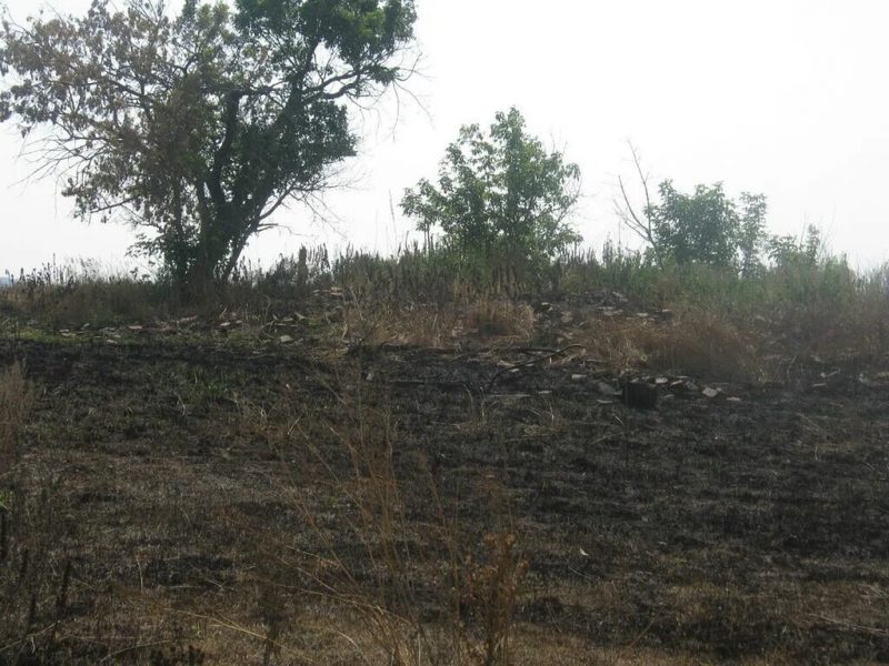 Место, где стояла школа. 2000-е гг. Фото из архива Г.Томиловой Источник https://museumcomplexnso.ru/