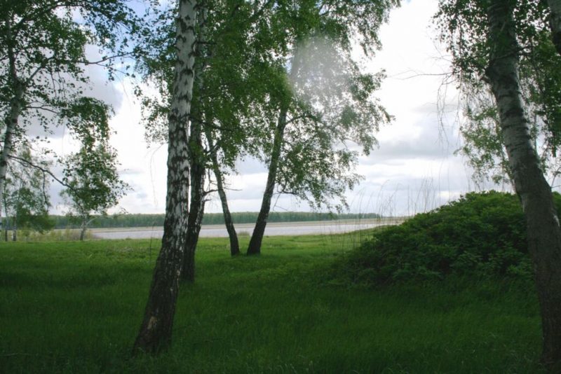 Озеро Барабинское Источник https://museumcomplexnso.ru/