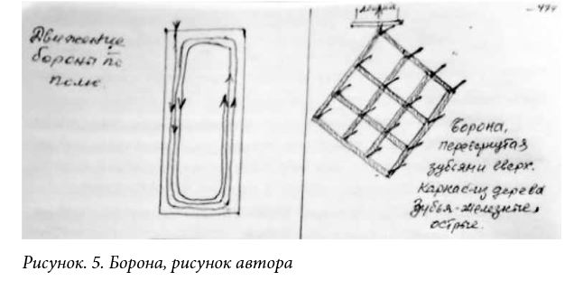 Новосибирская область, с. Карасево, Черепановский район, Бердск, Даниловы, купец Горохов, Зубковы, переселение в Сибирь