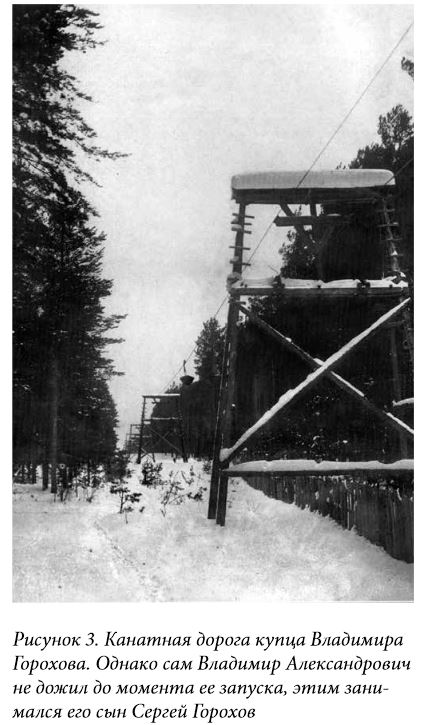 Новосибирская область, с. Карасево, Черепановский район, Бердск, Даниловы, купец Горохов, Зубковы, переселение в Сибирь