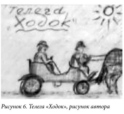 Новосибирская область, с. Карасево, Черепановский район, Бердск, Даниловы, купец Горохов, Зубковы, переселение в Сибирь