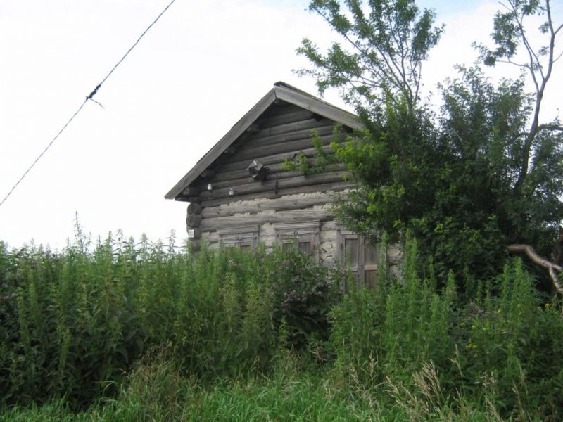 д. Антошкино. 2020г. Фото предоставлено Павловой Н.И. Источник https://museumcomplexnso.ru/